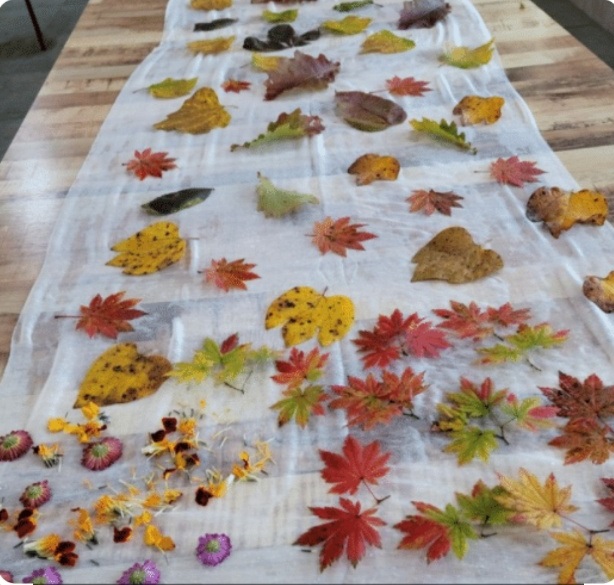 허브정원-치유농원-허브뜨락