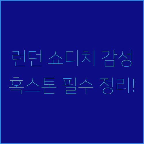 영국 런던 쇼디치 감성 숙소 더 혹스..