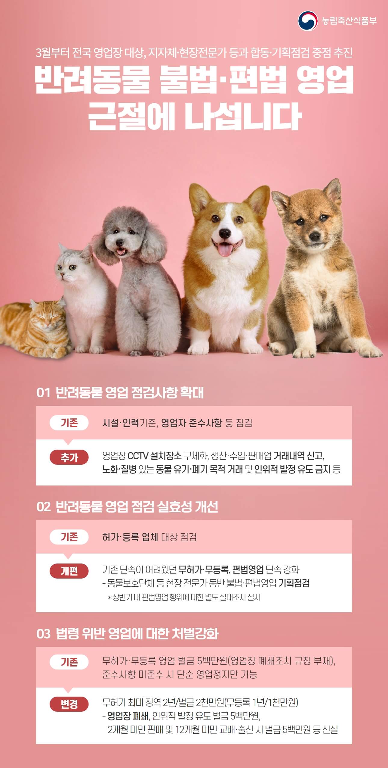 무허가 반려동물영업자 2년 징역 200만원 500만원 벌금형