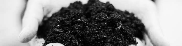 유박비료란: 유박비료 효능