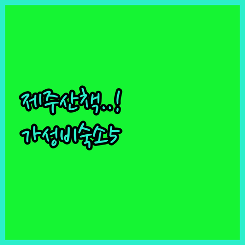 반려견 동반 제주 여행 한림읍 해변 ..