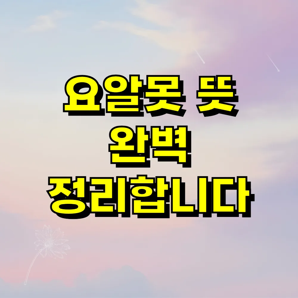 요알못 뜻 완벽 정리합니다