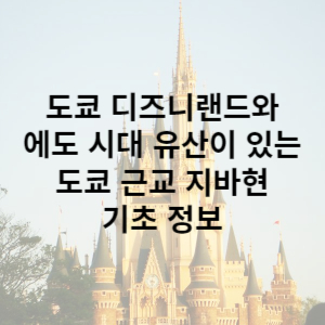지바 기초 정보