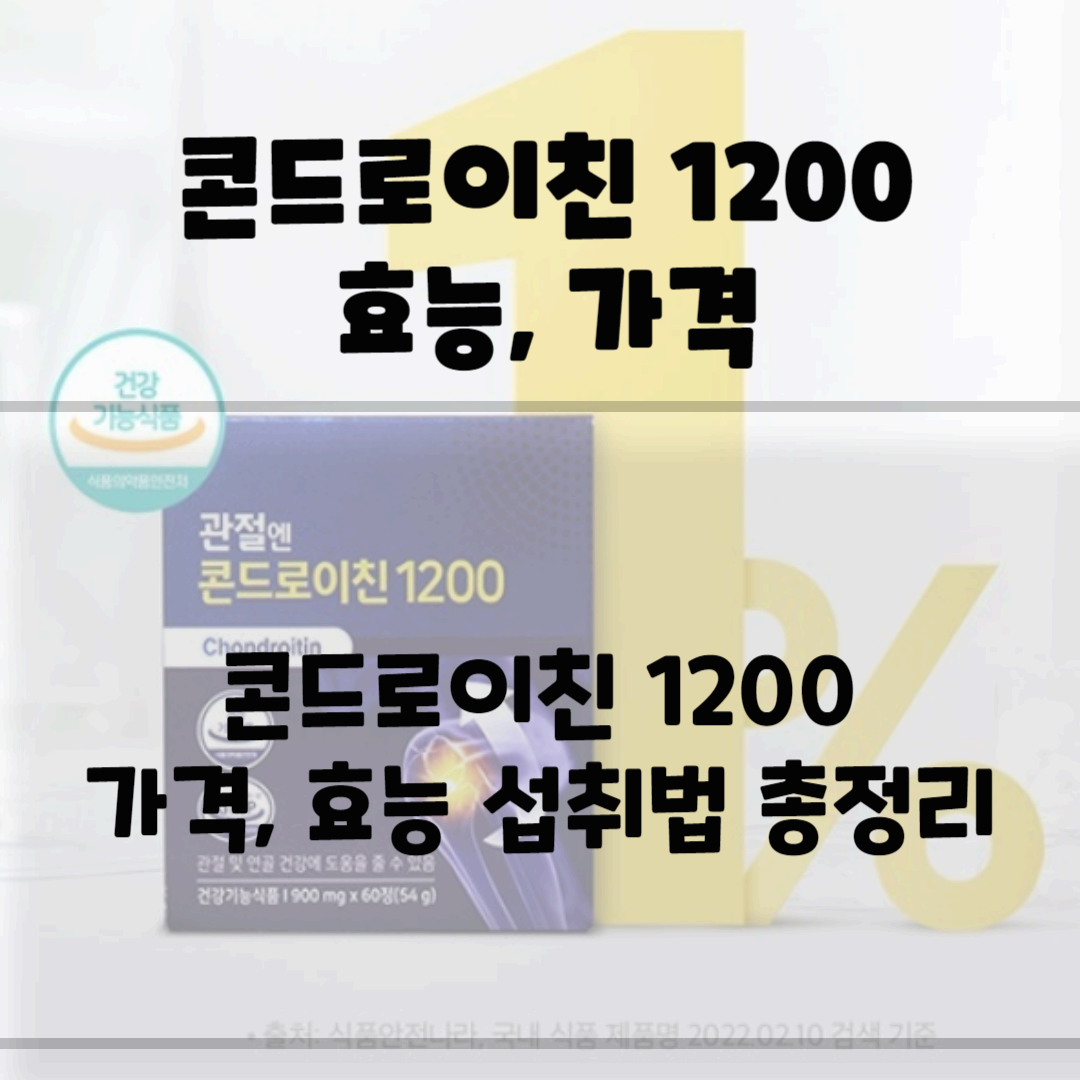 콘드로이친 1200mg효능 가격 총정리 블로그 썸네일 사진