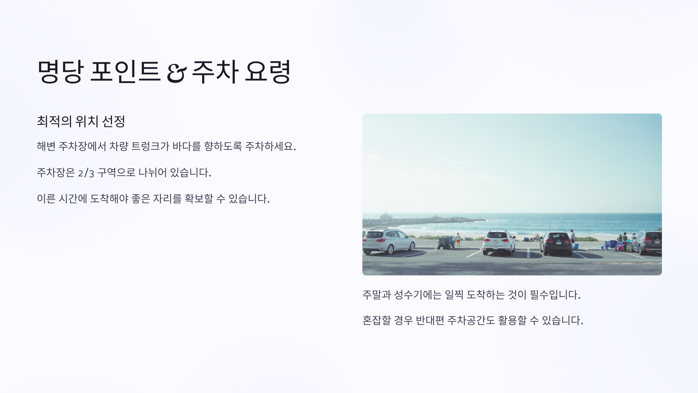 물치항 차박 위치와 특징