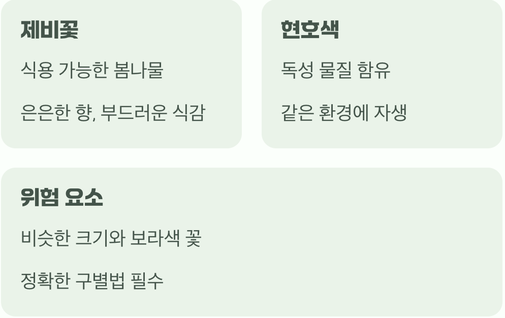 봄의 전령사&amp;#44; 하지만 위험한 닮은꼴
