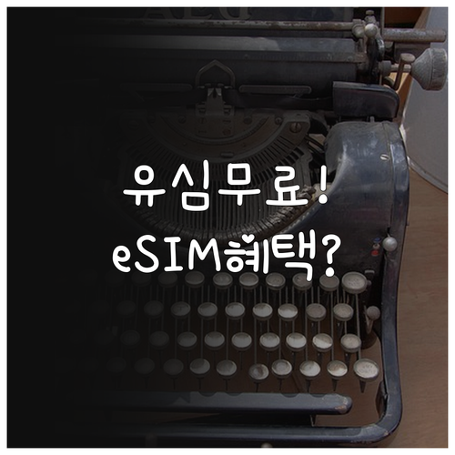 알뜰폰 유심 무료 배송과 eSIM 개..