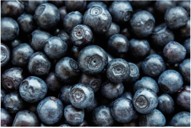 두뇌 건강을 위한 슈퍼푸드