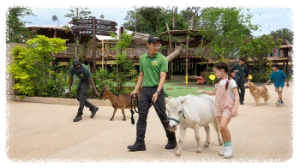 싱가포르 동물원