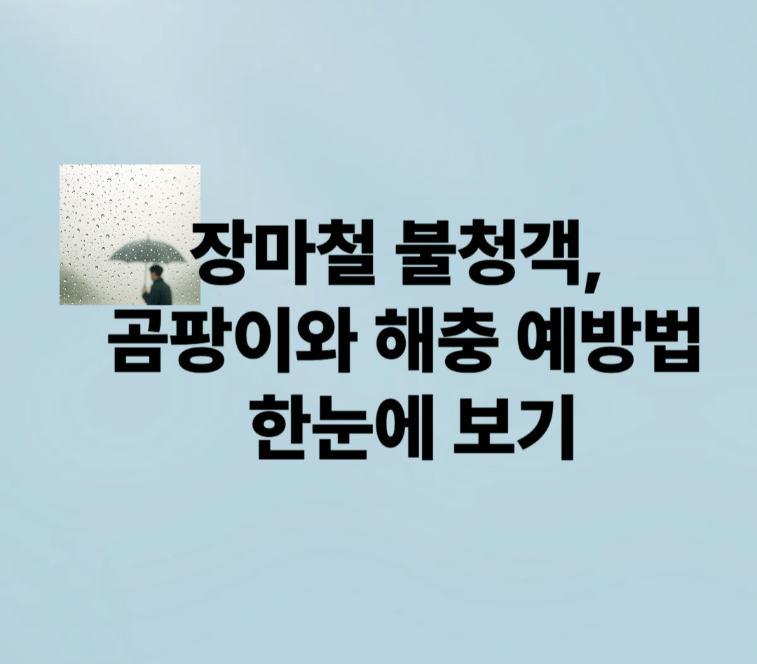 장마철 불청객, 곰팡이와 해충 예방법 한눈에 보기