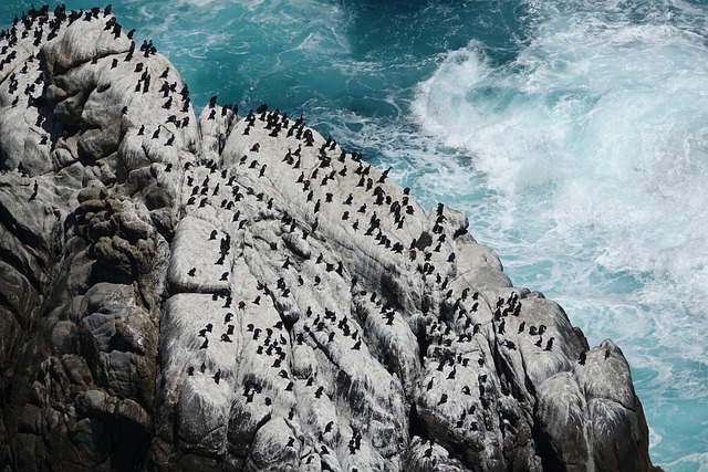 전세자금대출 조건 8