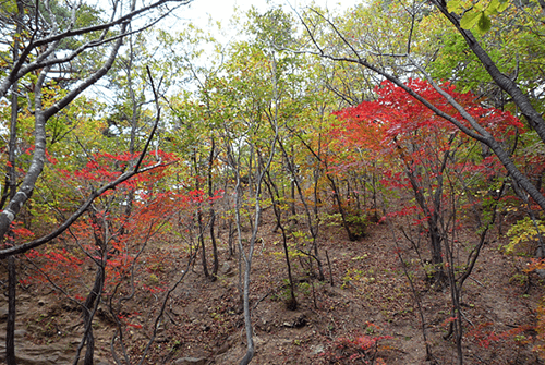 설악산16