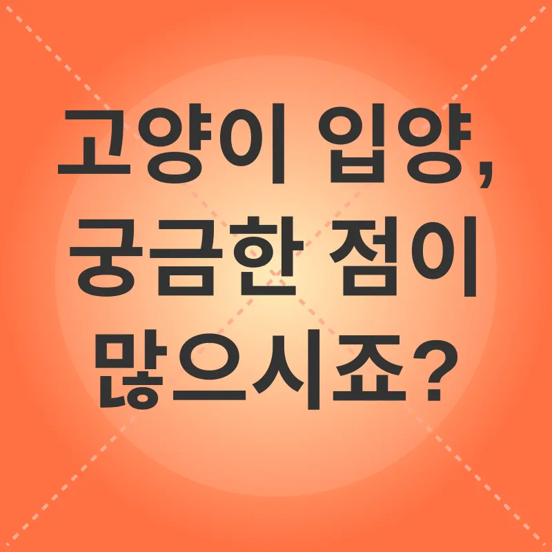 고양이 입양_4