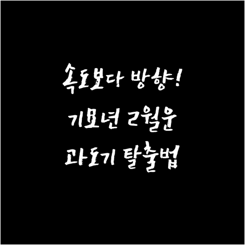 기묘년생 2025년 2월 운세 속도보..