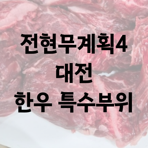 전현무계획4 대전 한우 특수부위 탕국 류수영 엄기준
