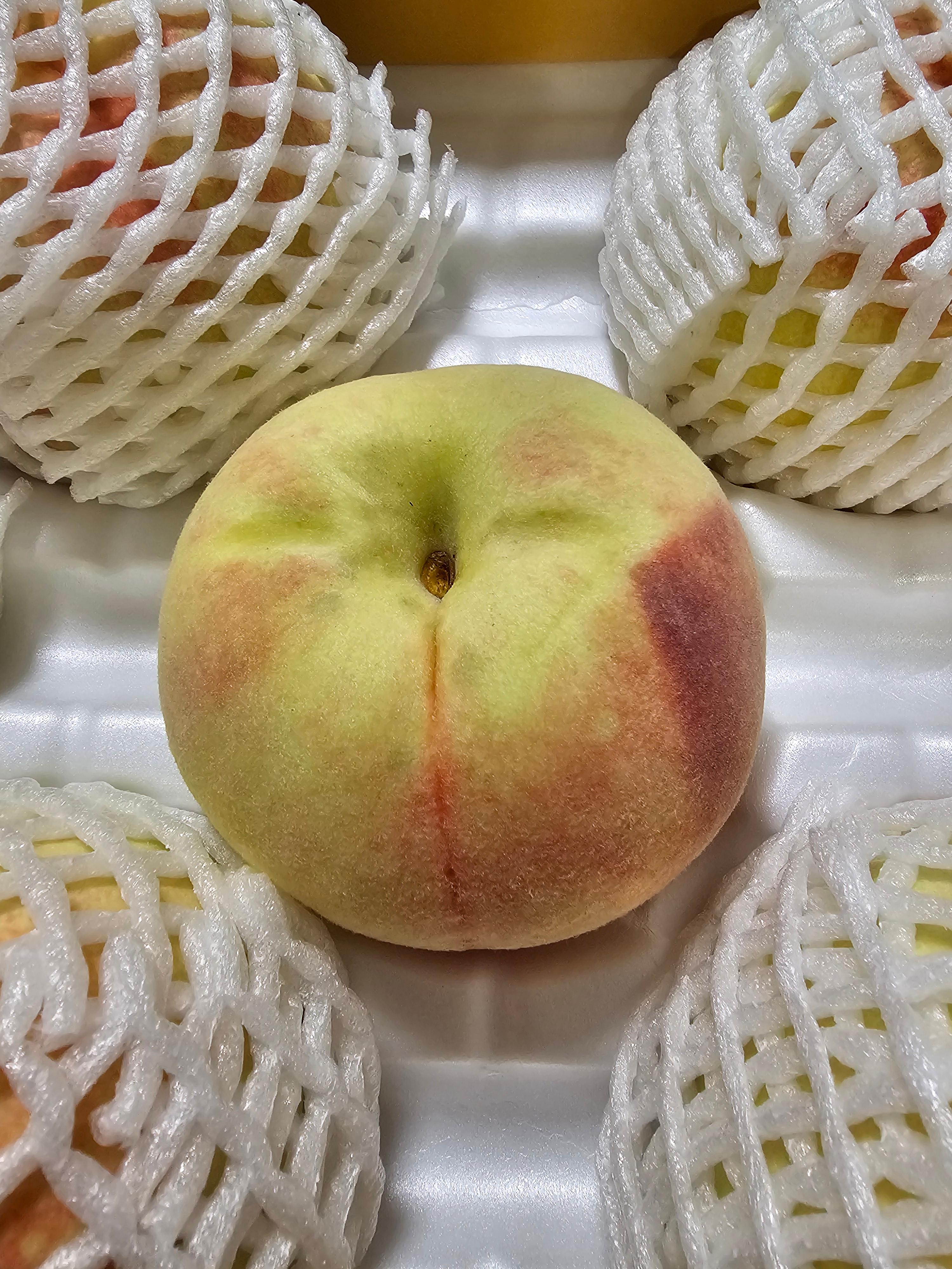 아로농장 태우승복숭아