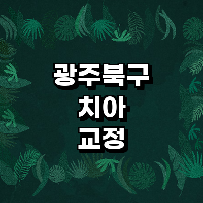 광주 북구 교정 치과