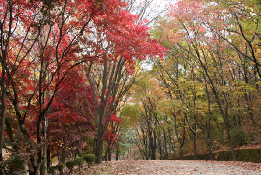 서울대 안양수목원