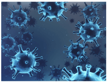 백일해 증상 예방접종