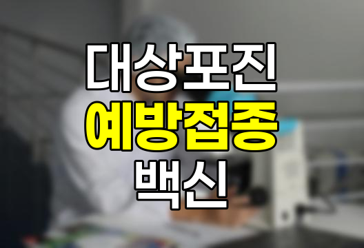 대상포진 예방접종 효과 및 정보 총정리