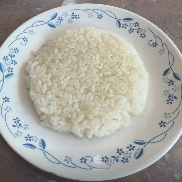 생방송투데이 37년전통 돈까스맛집 인생맛집 경기 남양주 퇴계원 낙원돈까스