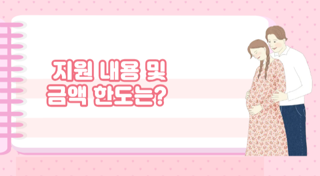 고위험산모 의료비 지원