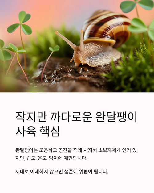 완달팽이 키우기 전 알아야 할 7가지 기본 정보