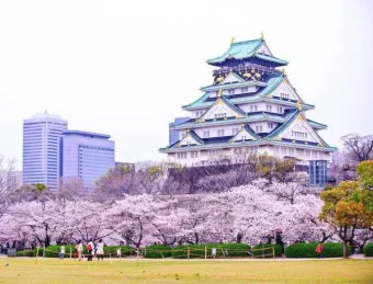 오사카 여행 3박4일 코스 도톤보리 USJ 교토까지_5