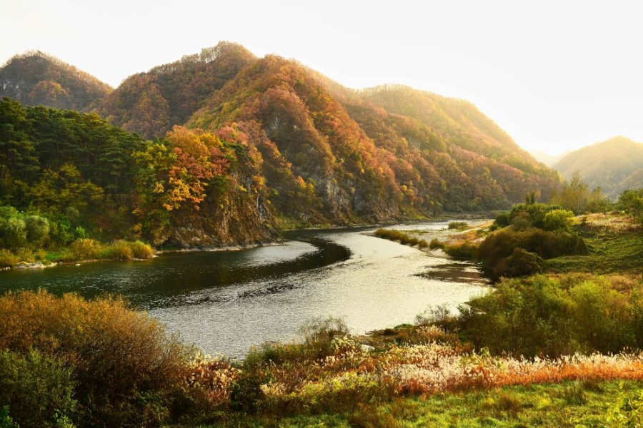 영월 청령포 여행