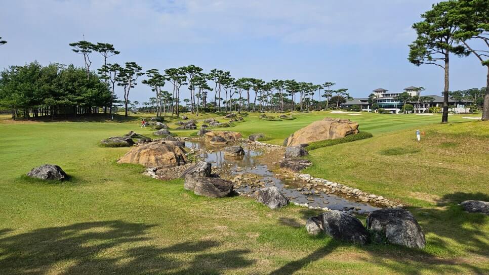 골프장 경험담 당진 파인스톤cc 대형 멋진 정원에서 환상의 골프 운동 