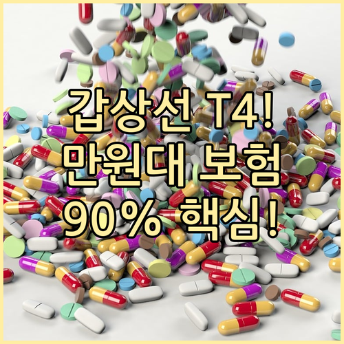 갑상선 TSH T4 검사 본인부담금 ..