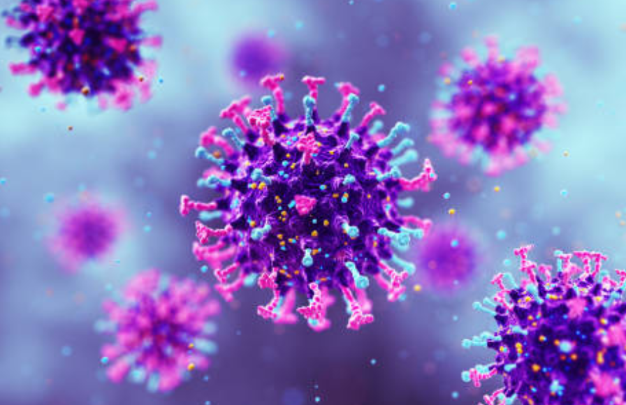 독감과 관련된 사진2