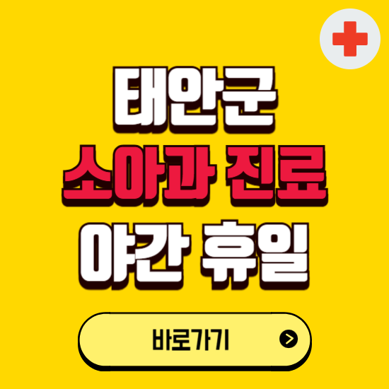 태안군 야간 소아과 진료병원 찾기 ❘ 24시 일요일 주말 연휴 응급진료 추천 잘하는 곳