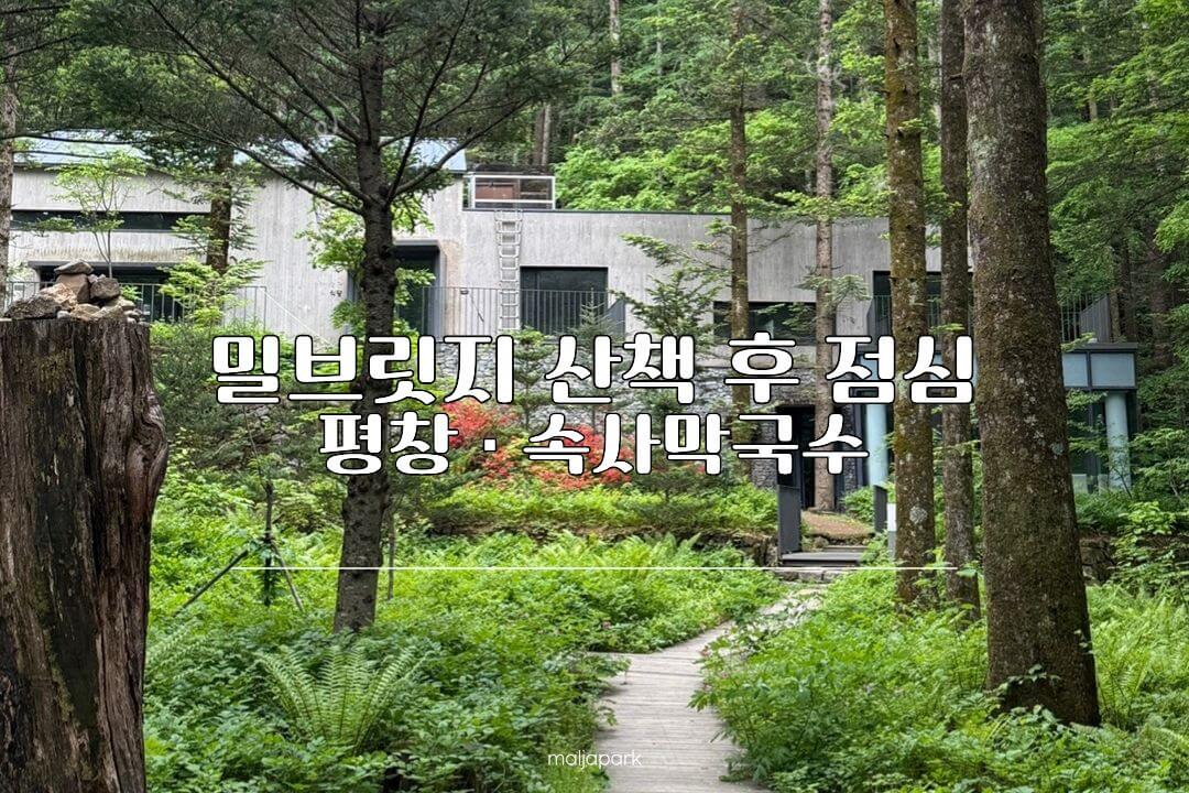 평창 휘게포레스트 가기 전 들른 밀브릿지 산책길과 속사막국수 코스
