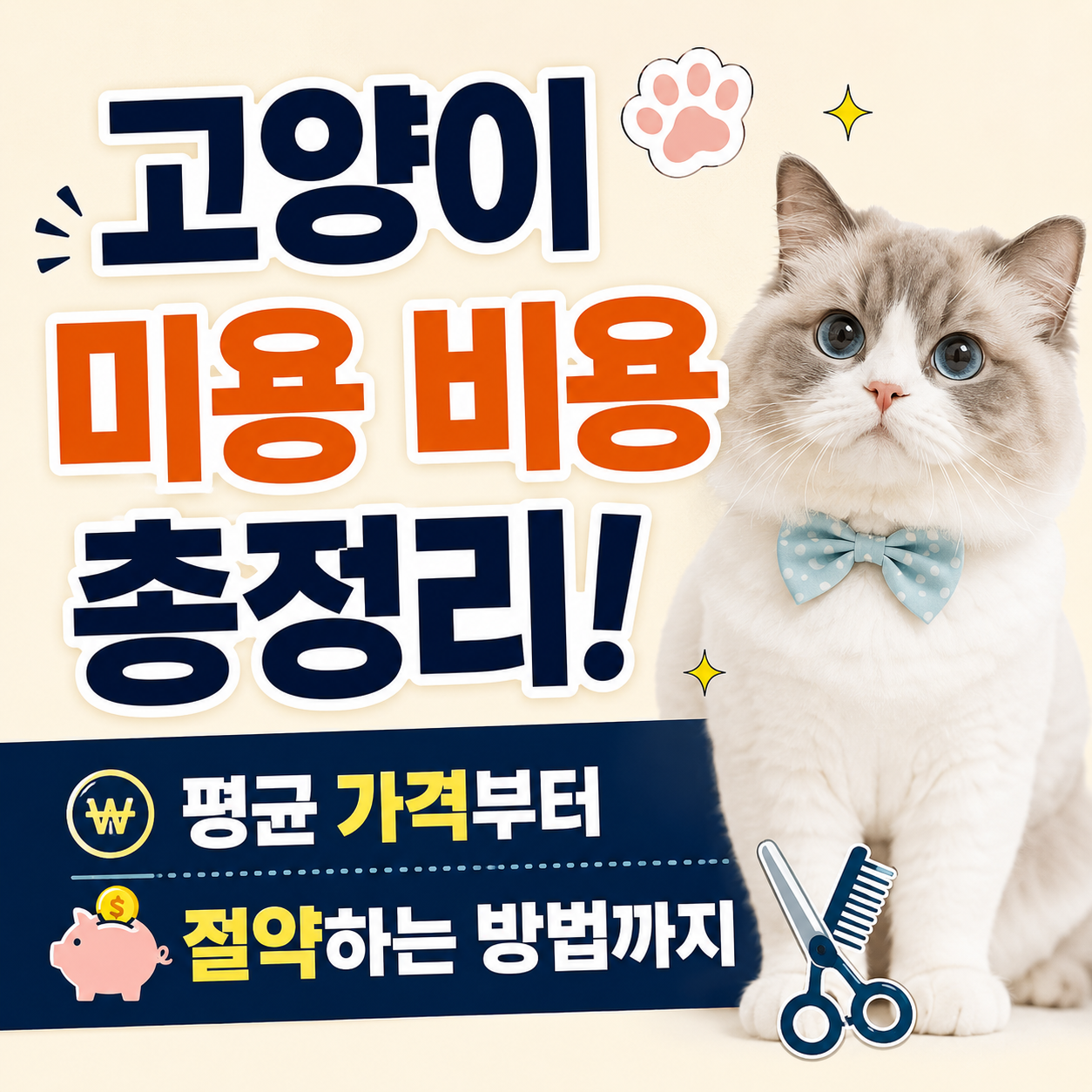 고양이 미용 비용
