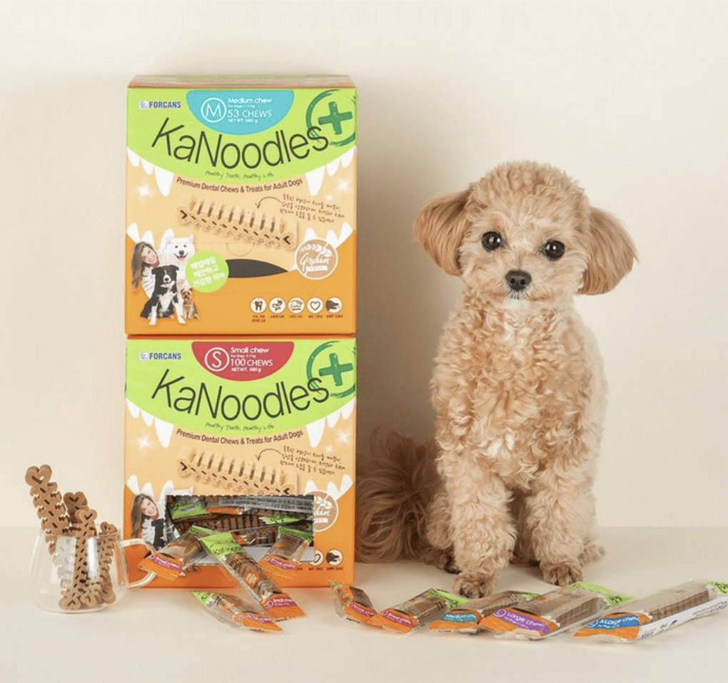 강아지 치석제거 카누들과 덴탈뉴트리냠냠 비교 및 구매정보