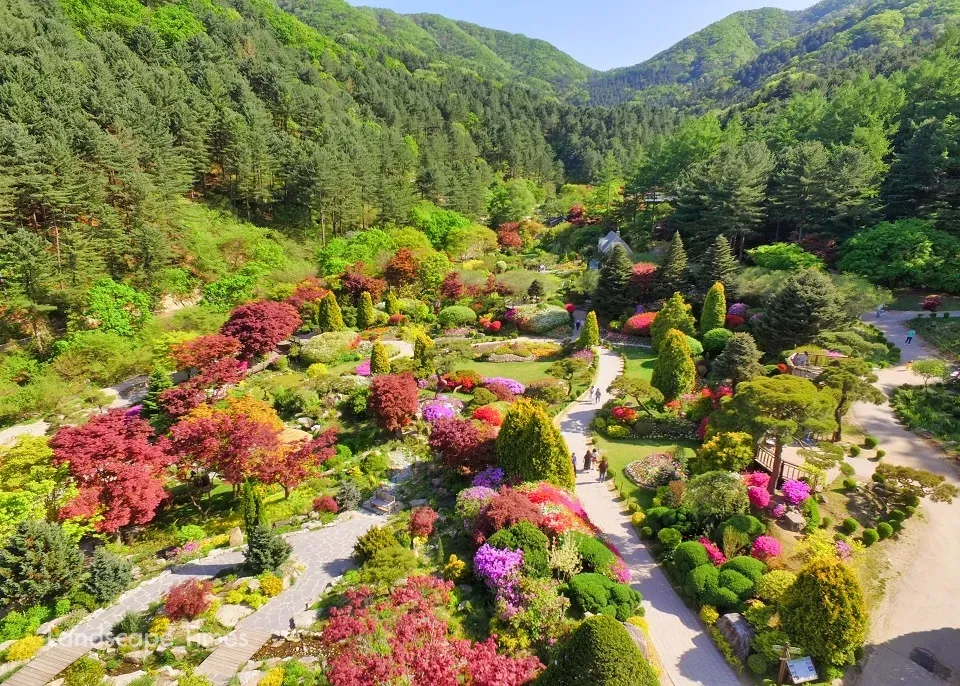 아침고요수목원 입장료 근처 맛집 펜션 추천_1