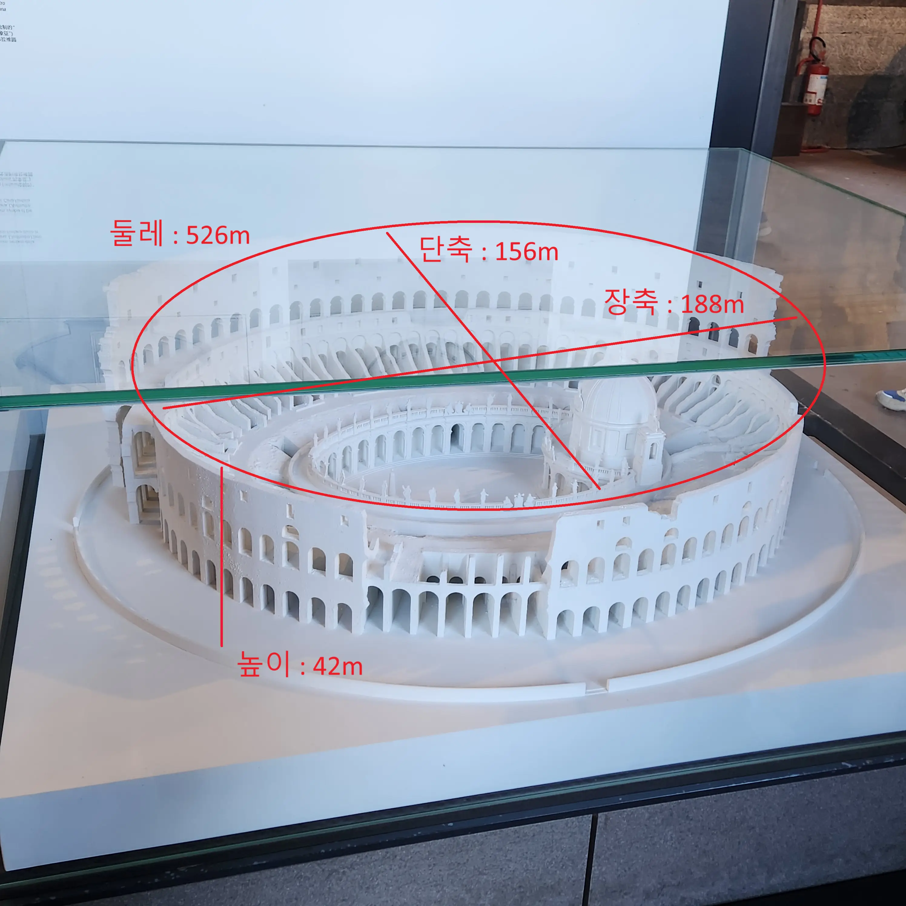 콜로세움-크기와-너비-높이