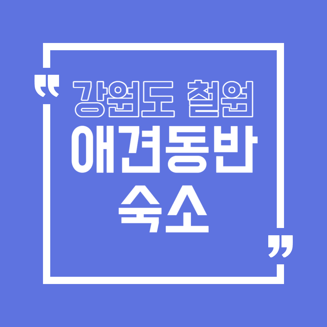 철원 애견동반