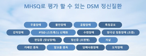 MHSQ검사에서-평가할-수-있는-질병유형