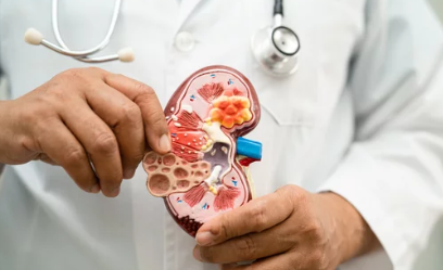 소변이 자주 마려운 사진/출처:어도비스톡