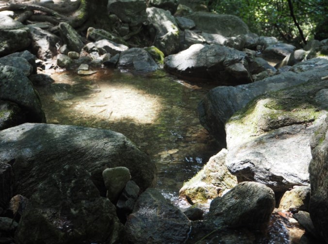 수도권 근교 여름 계곡 추천 관련 사진