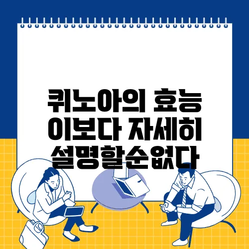 퀴노아의 효능 이보다 자세히 설명할순없다