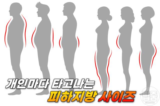 특정 부위 살빼기 가슴 얼굴 먼저