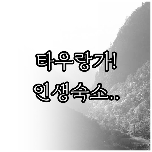 뉴질랜드 타우랑가 숙소 추천 5곳 신..