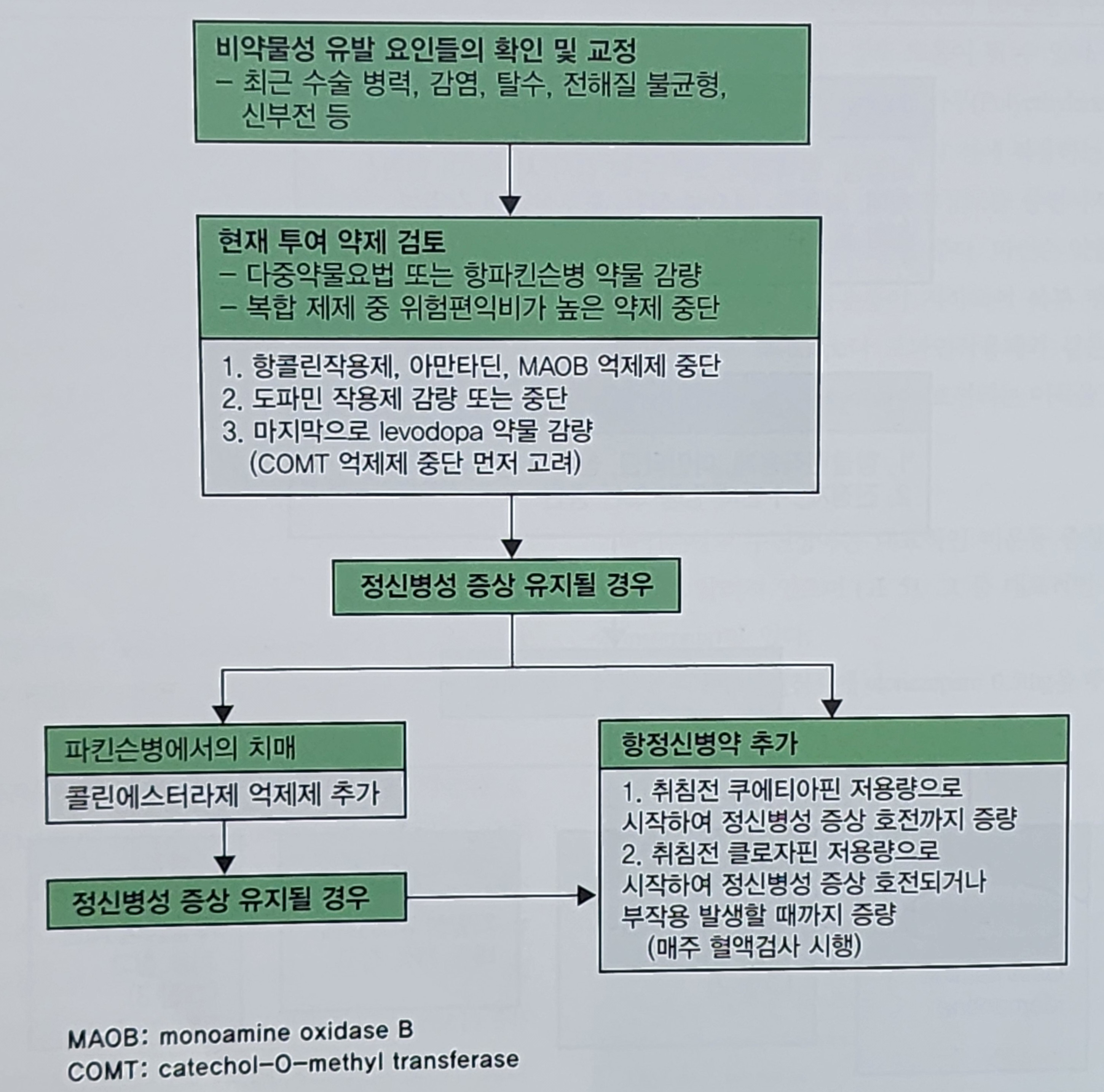 파킨슨병의 내과적 치료2