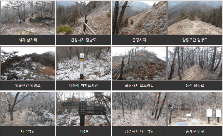 쇠뿔바위새재