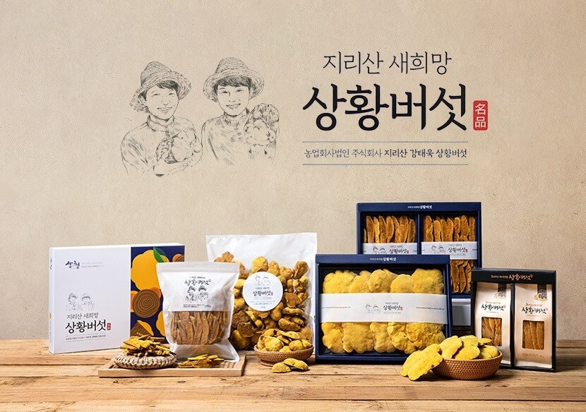 6시내고향 경남 산청 상황버섯 명가 지리산새희망상황버섯 주문방법