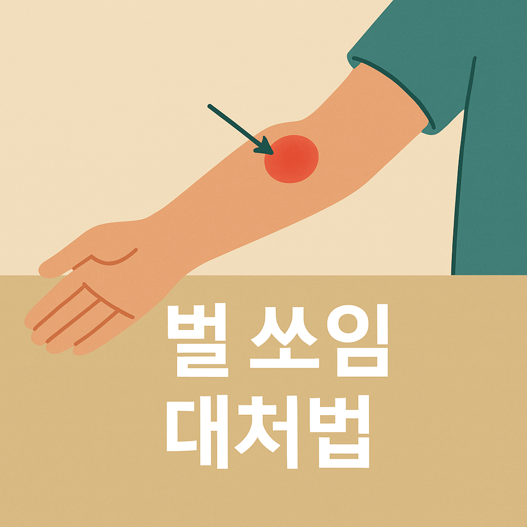 벌에 쏘였다면 무조건 이렇게! 5분 안에 할 응급 대처법🐝