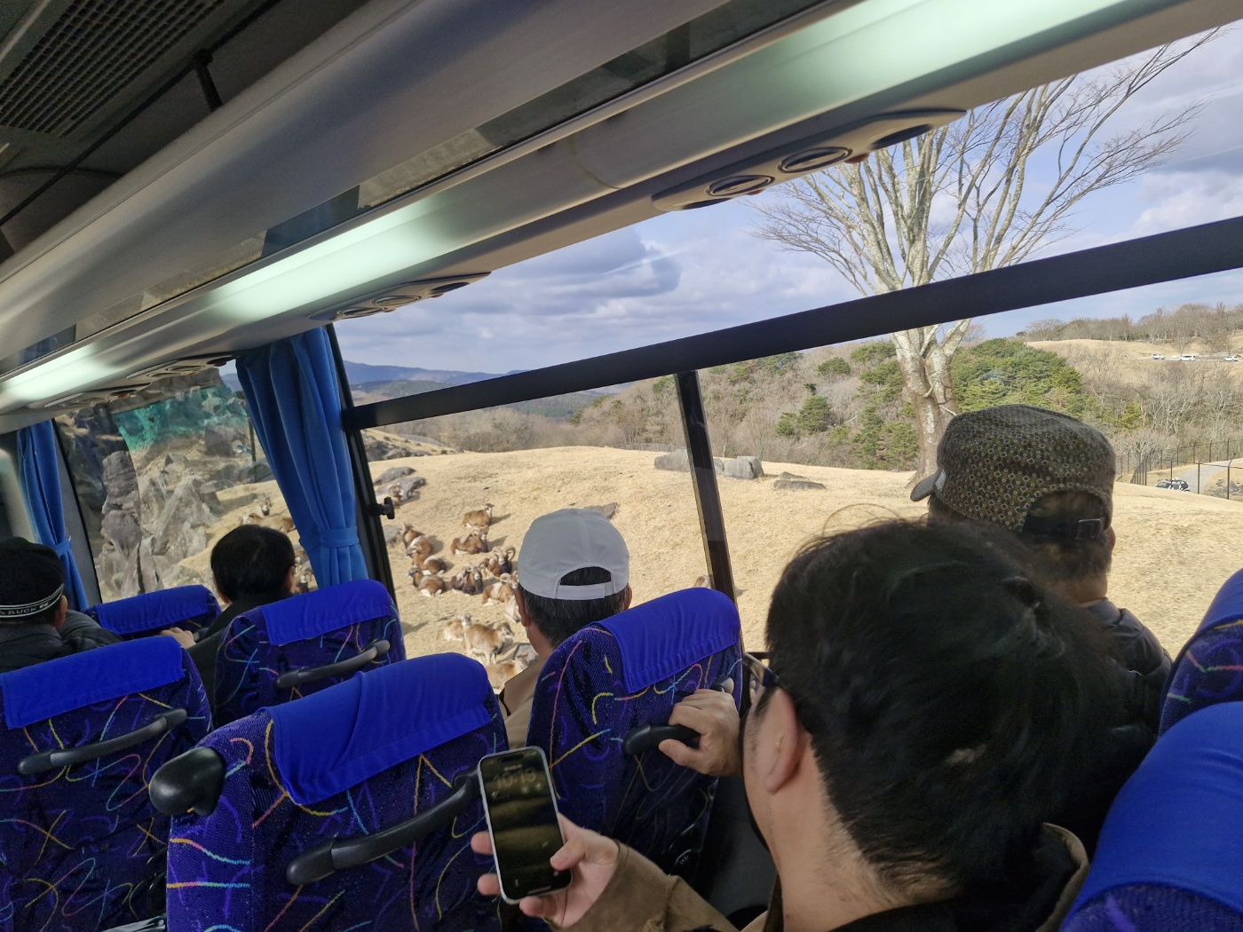 성남시 어르신 교통비 지원금 23만원